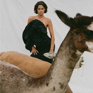 Mara Hoffman Valeria One-Shoulder Black Floral Sculptural Dress Size 4 NWT